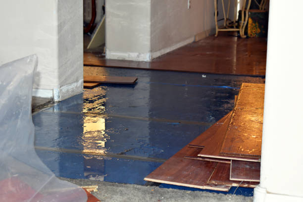 Professional Flood Cleanup technician working in Russellville, AL